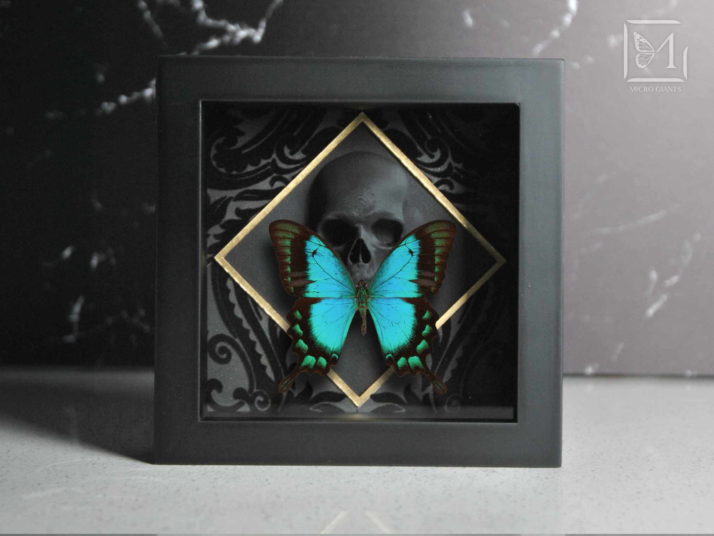 Sea green swallowtail butterfly with Skull