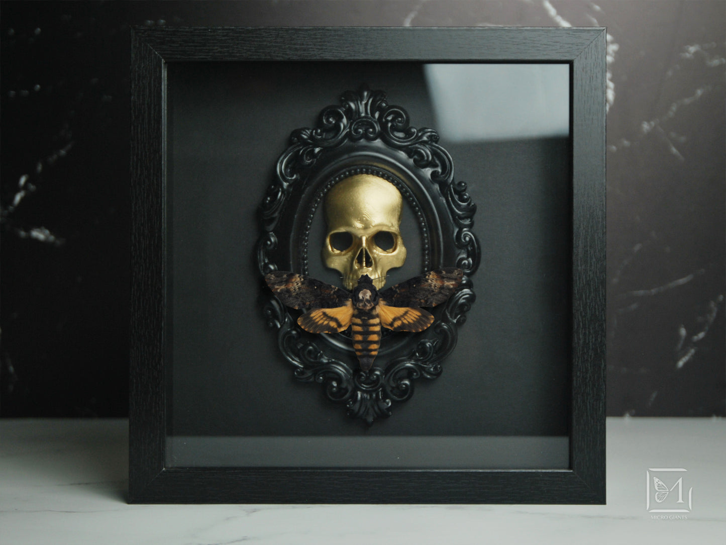 Framed death's head moth, Acherontia atropos
