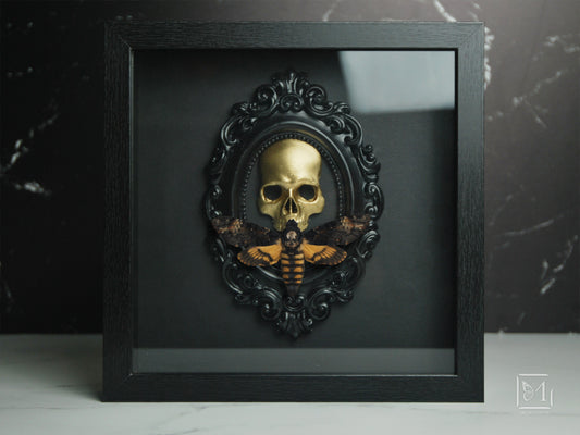 Framed death's head moth, Acherontia atropos