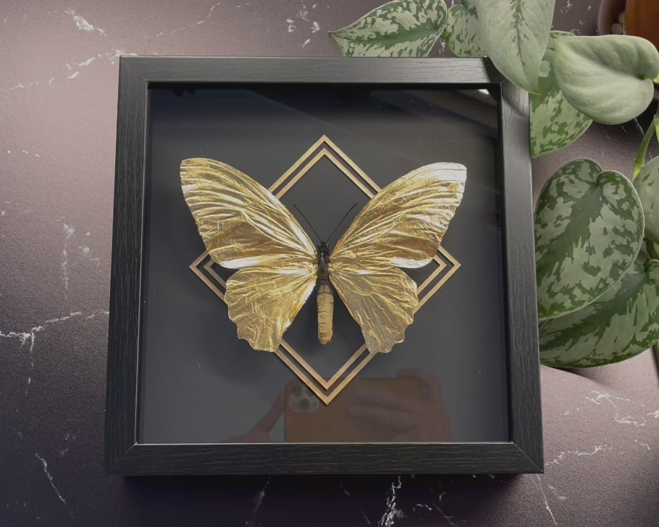Gold leafed butterfly art