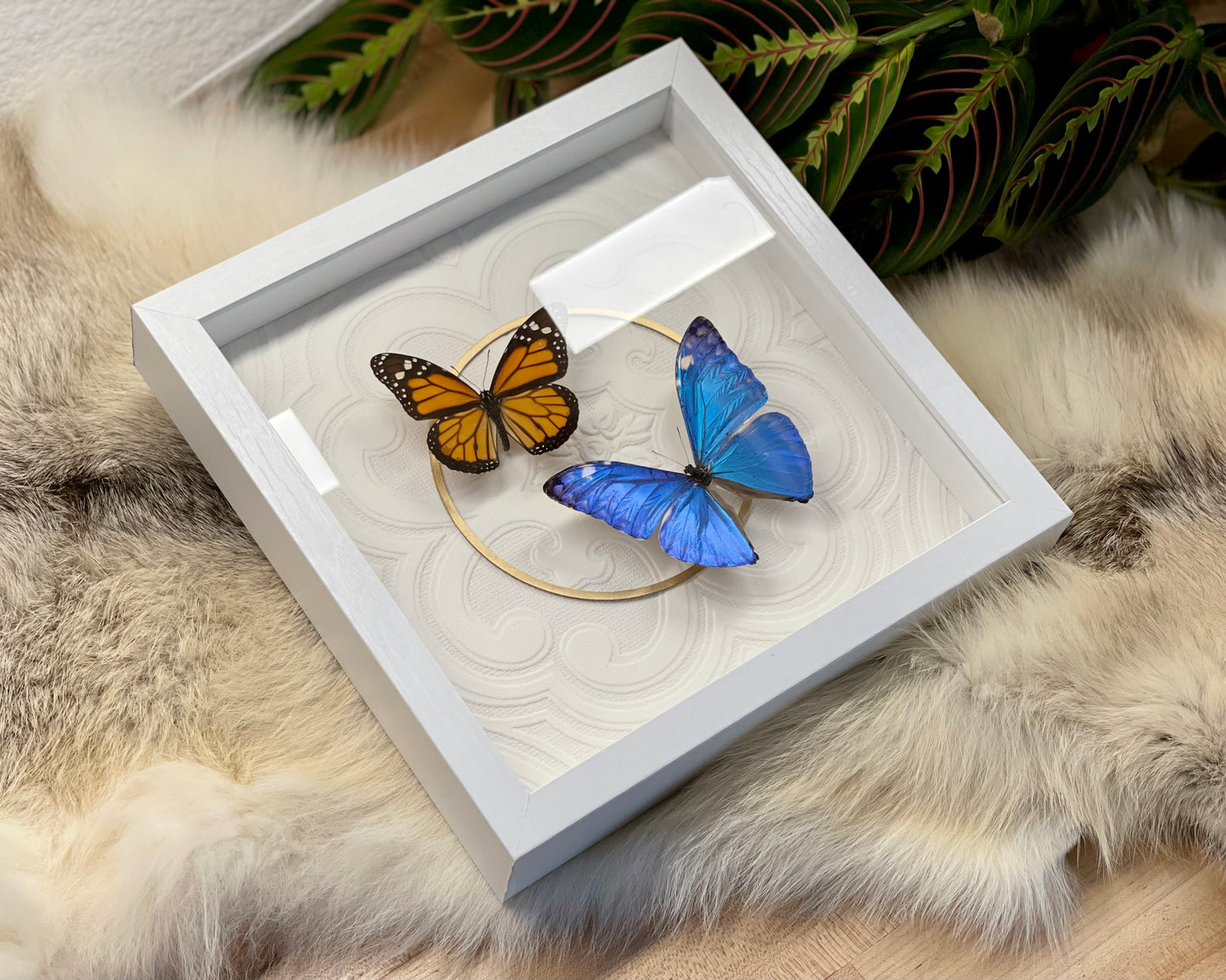 Blue and red butterflies deluxe framed art