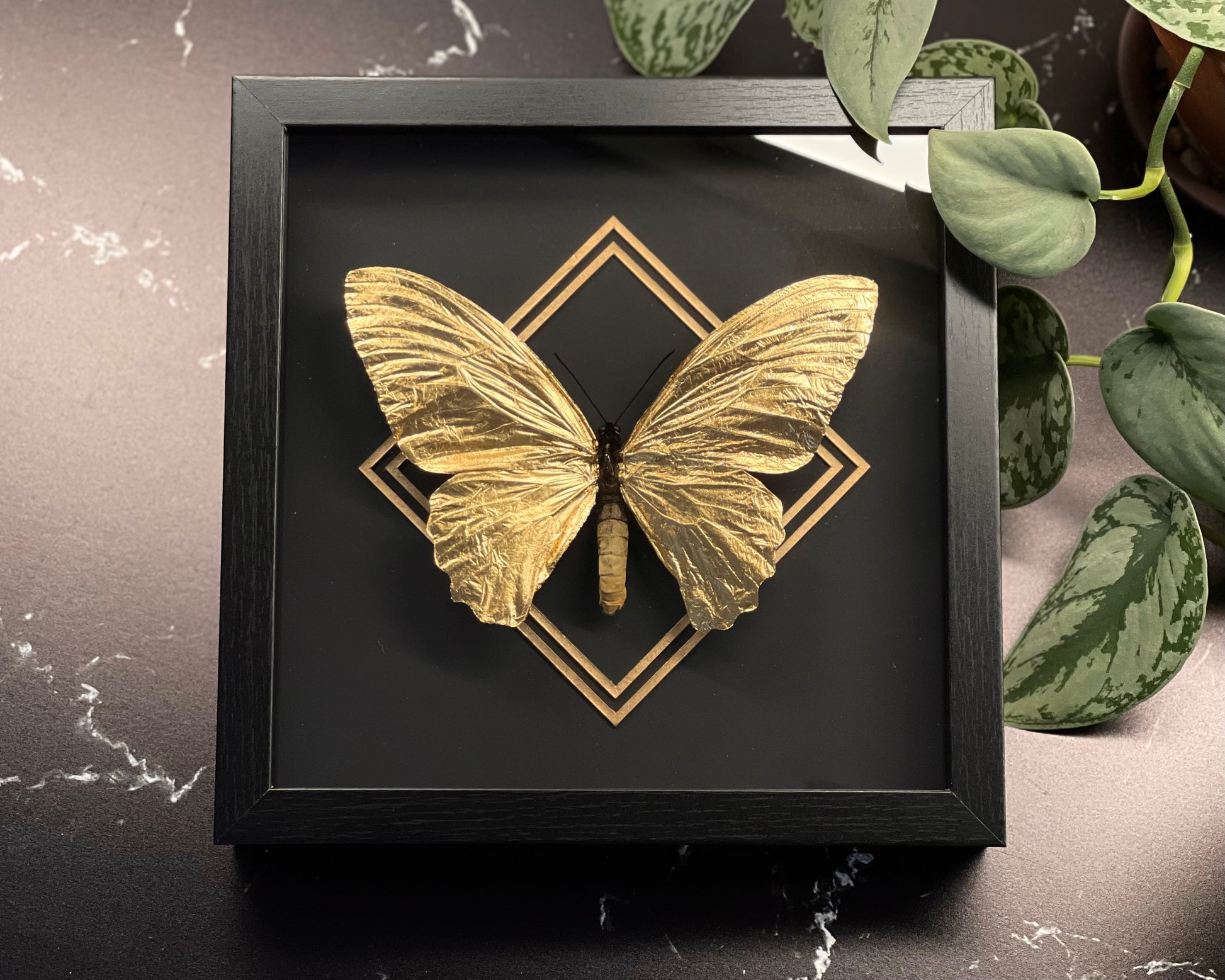 gold leafed big butterfly