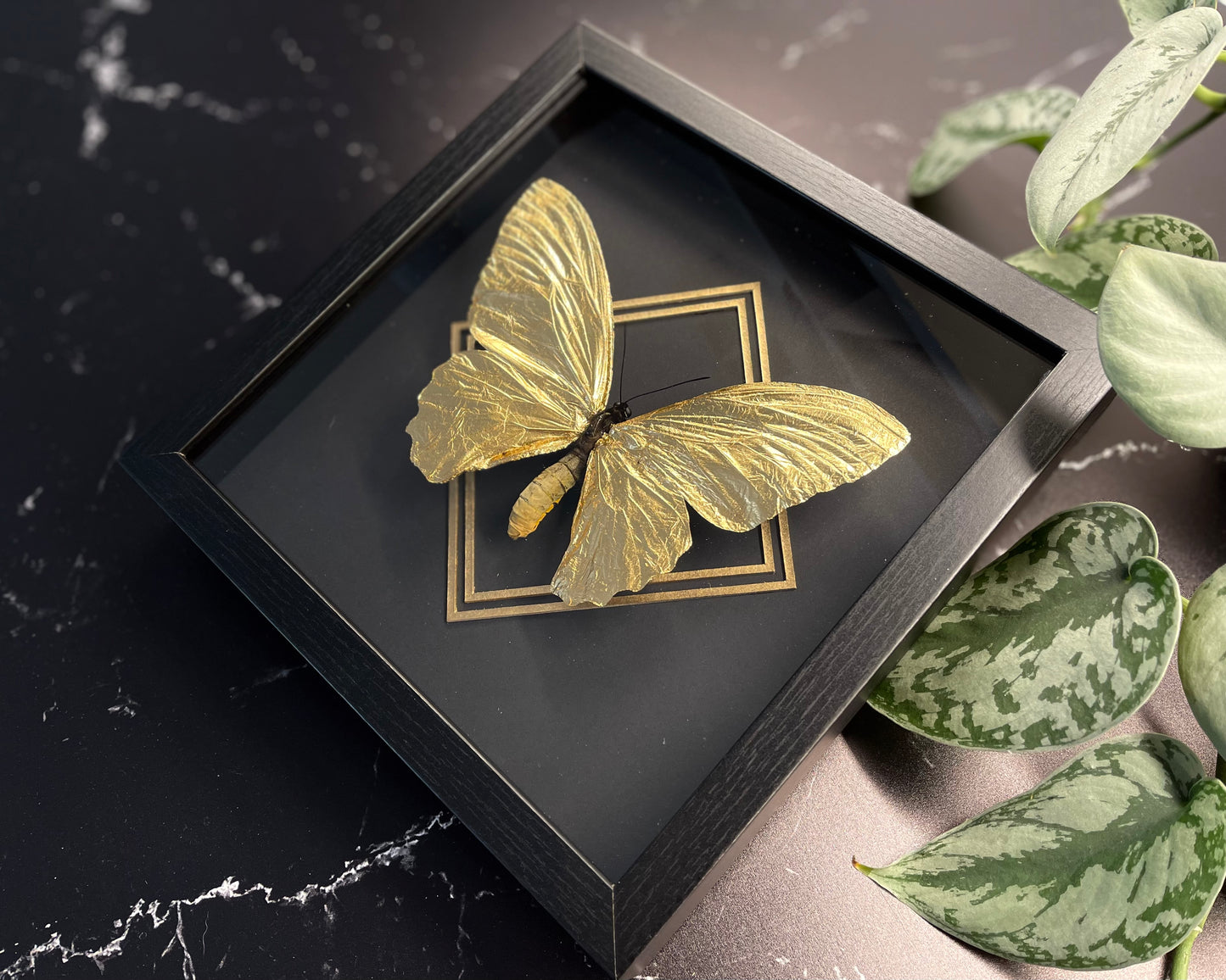 gold leafed butterfly