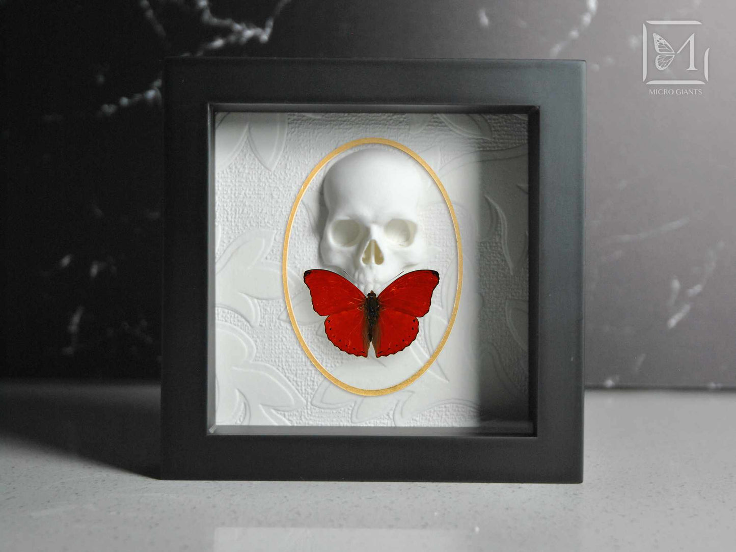 Heart red Butterfly with skull