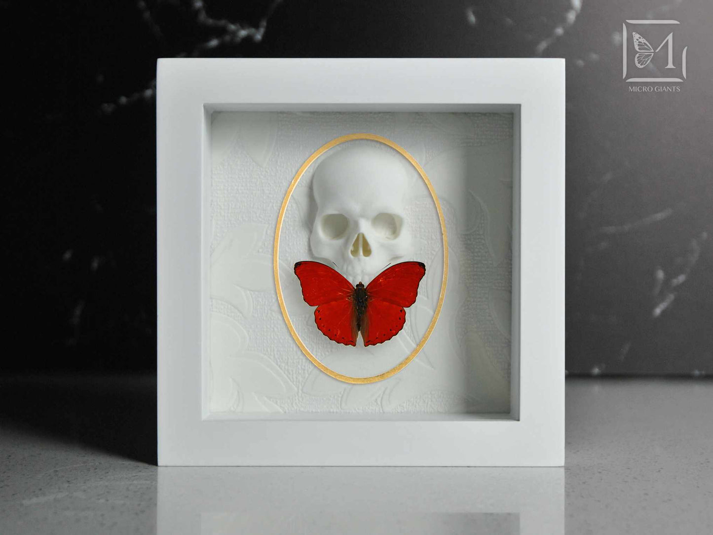 Heart red Butterfly with skull