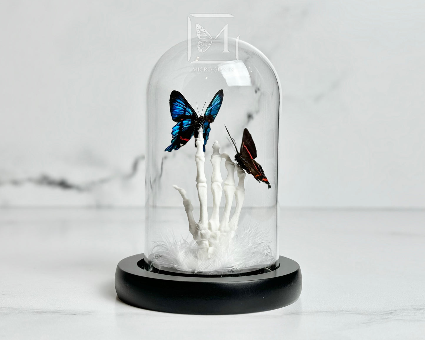 Dancing butterflies on skeleton hand in Glass dome