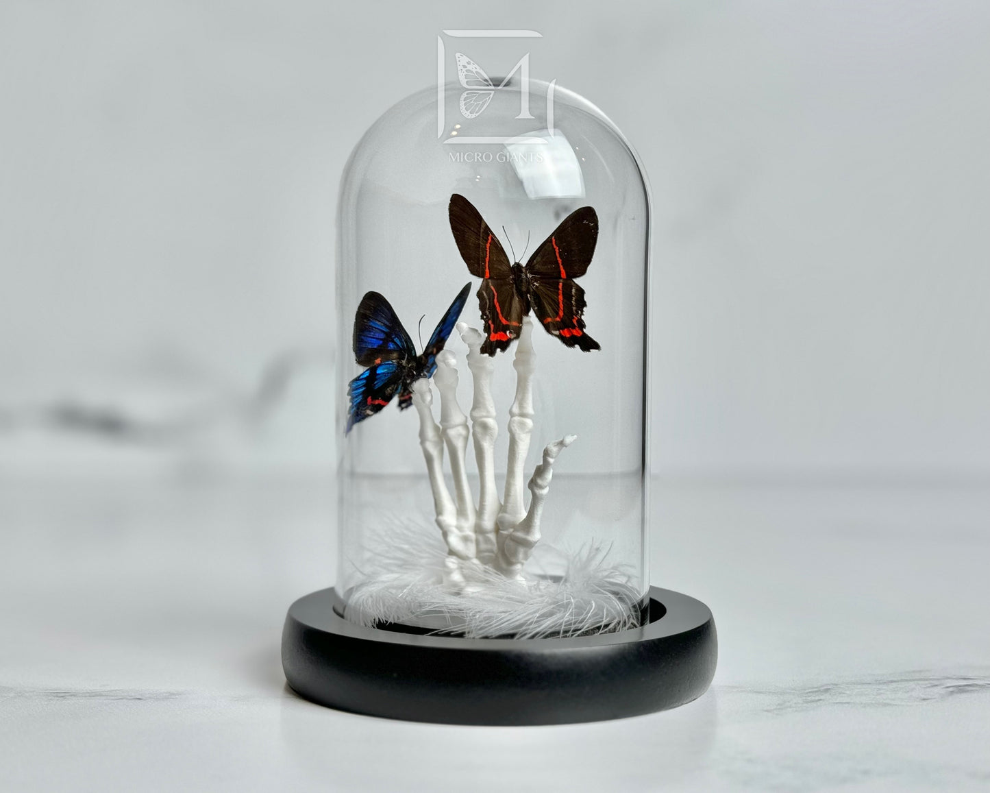 Dancing butterflies on skeleton hand in Glass dome