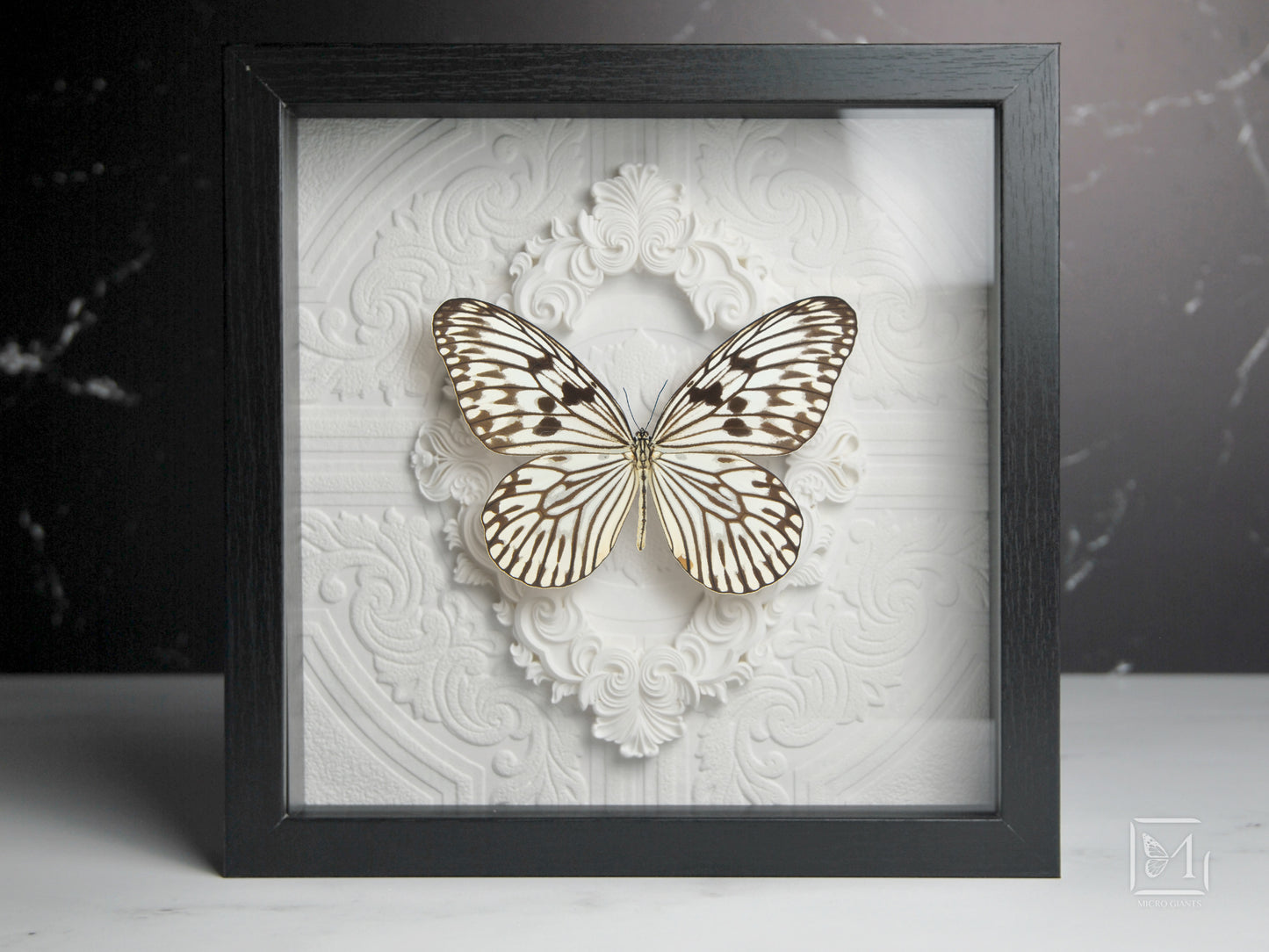 Deluxe framed idea idea novella butterfly
