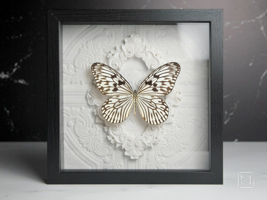 Deluxe framed idea idea novella butterfly