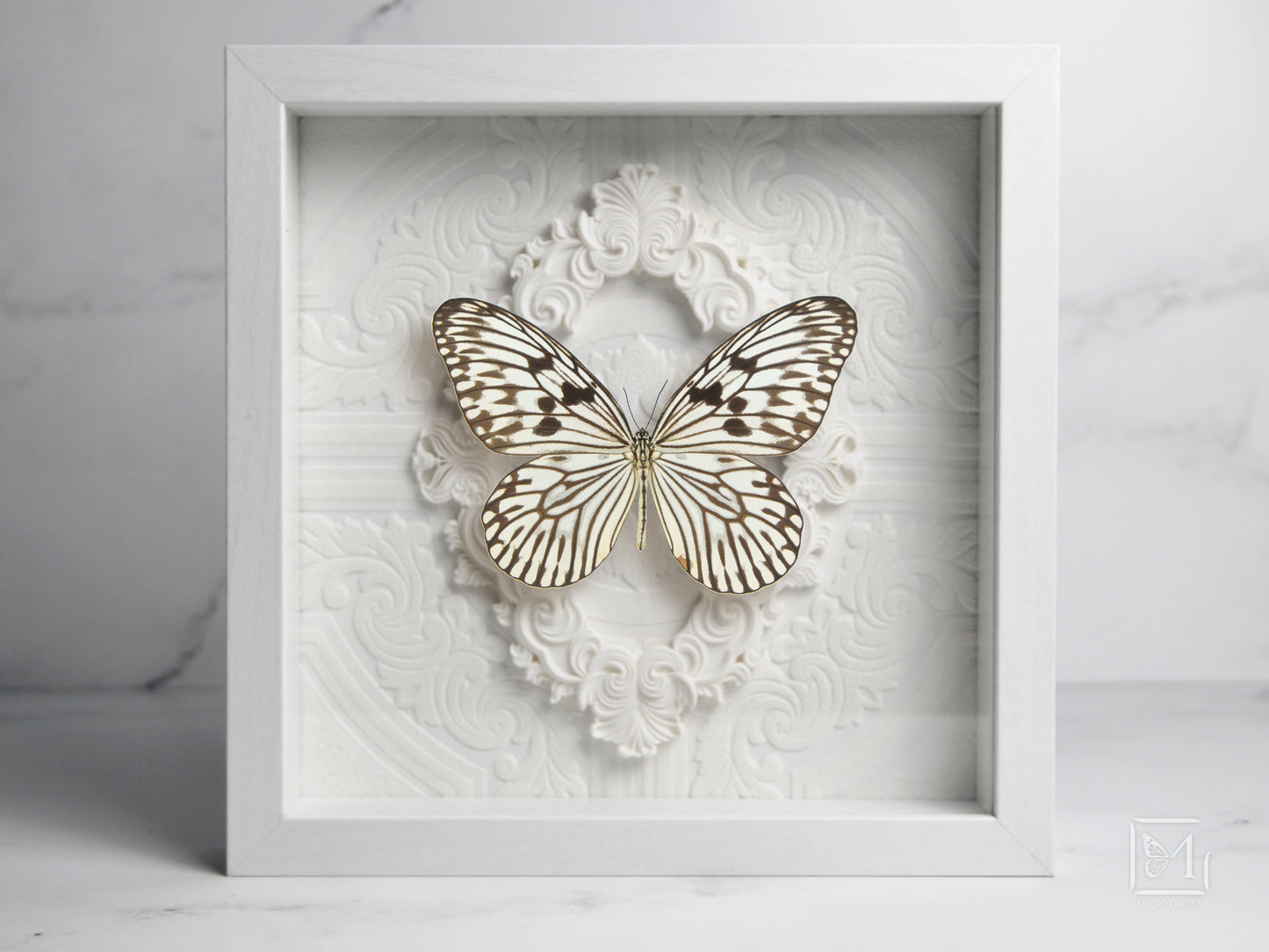 Deluxe framed idea idea novella butterfly