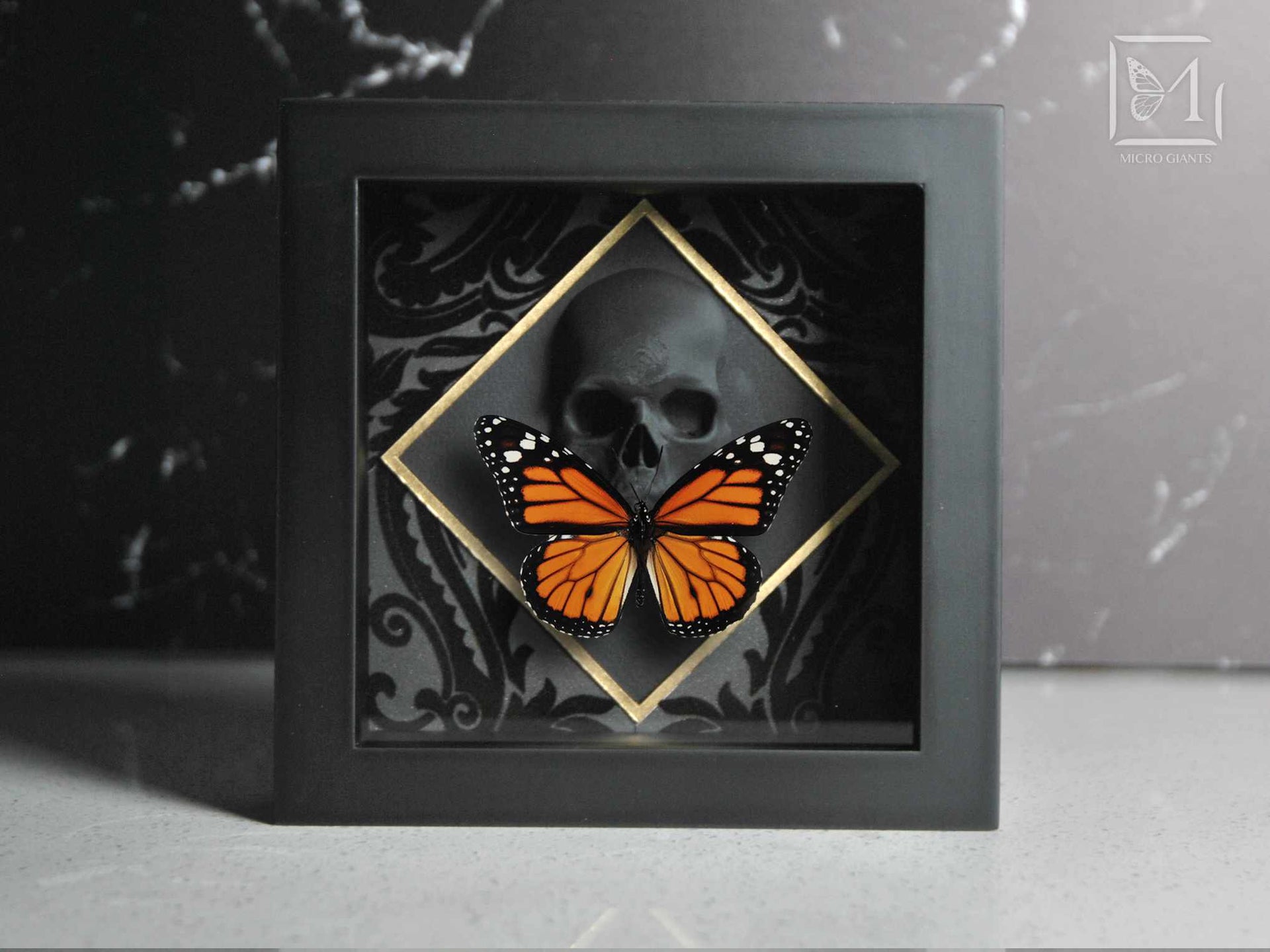 Monarch Butterfly Collection - Framed Butterflies Danaus Plexippus