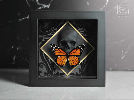 Framed butterfly wall art with 3d printed Skull