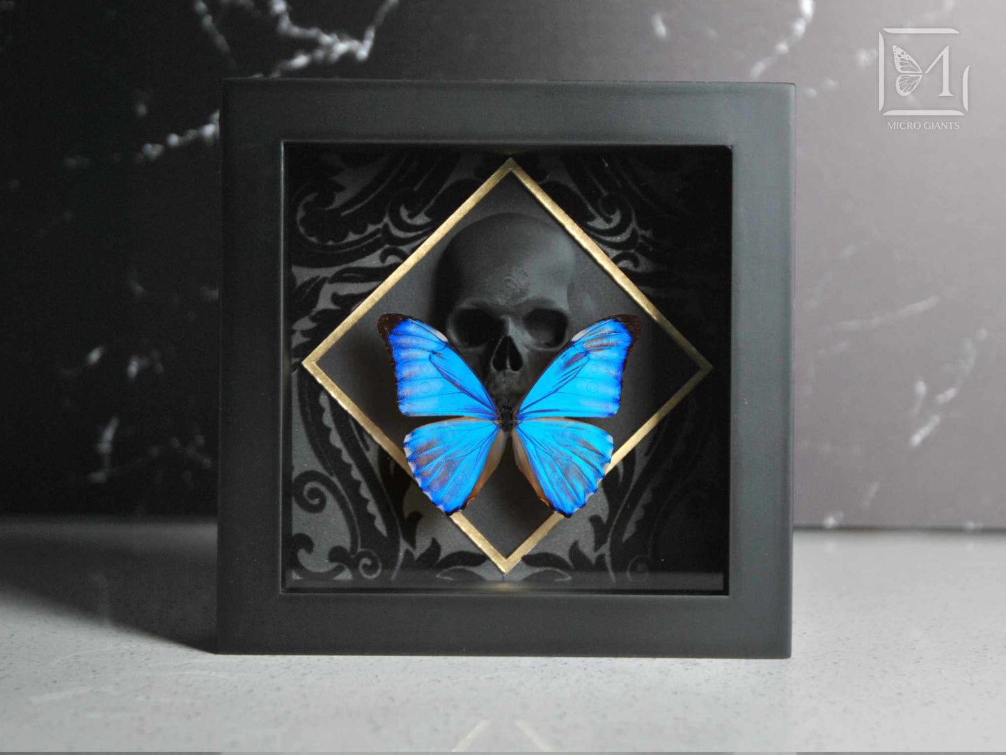 Morpho aurora butterfly with skull