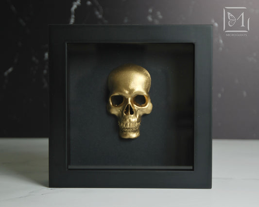 Faux Skull frame