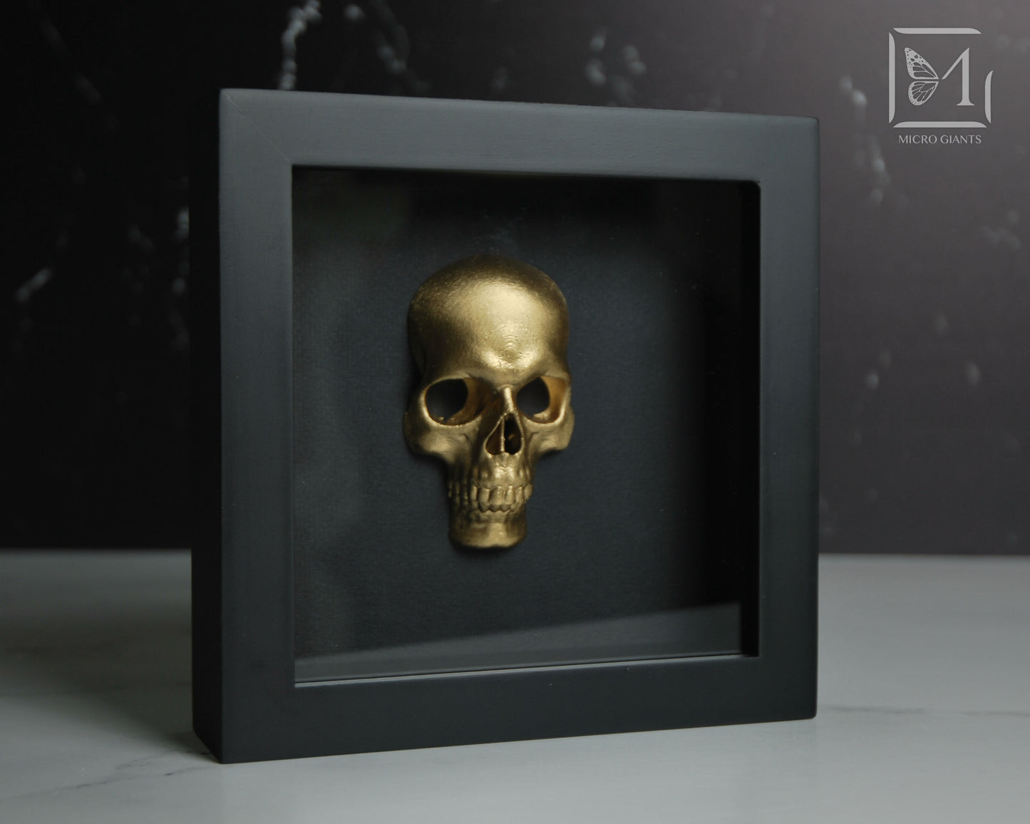 Faux Skull frame