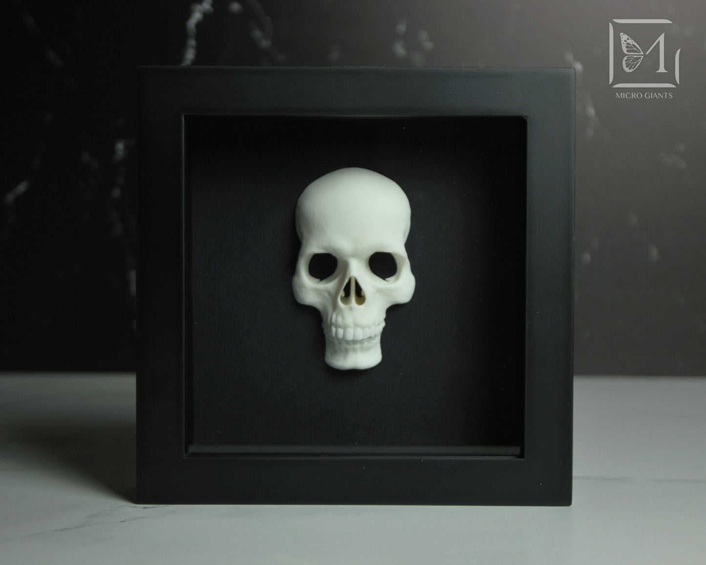 Faux Skull frame