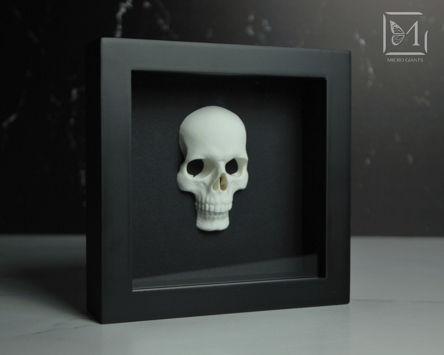 Faux Skull frame