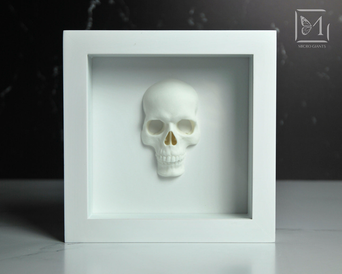 Faux Skull frame