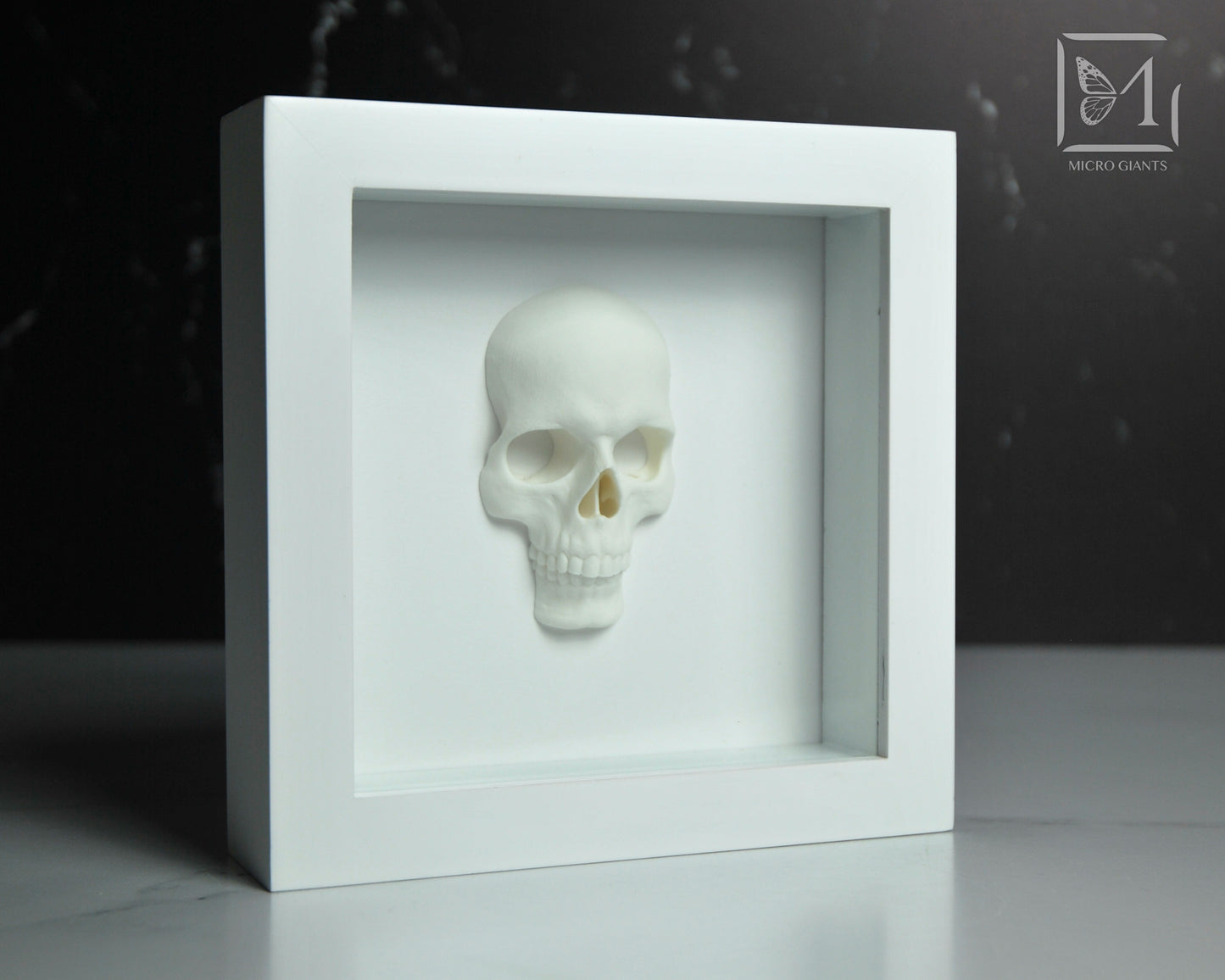 Faux Skull frame