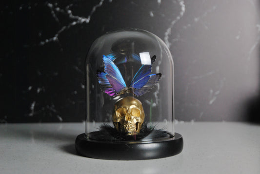 Skull and double wings Butterfly Glass Dome