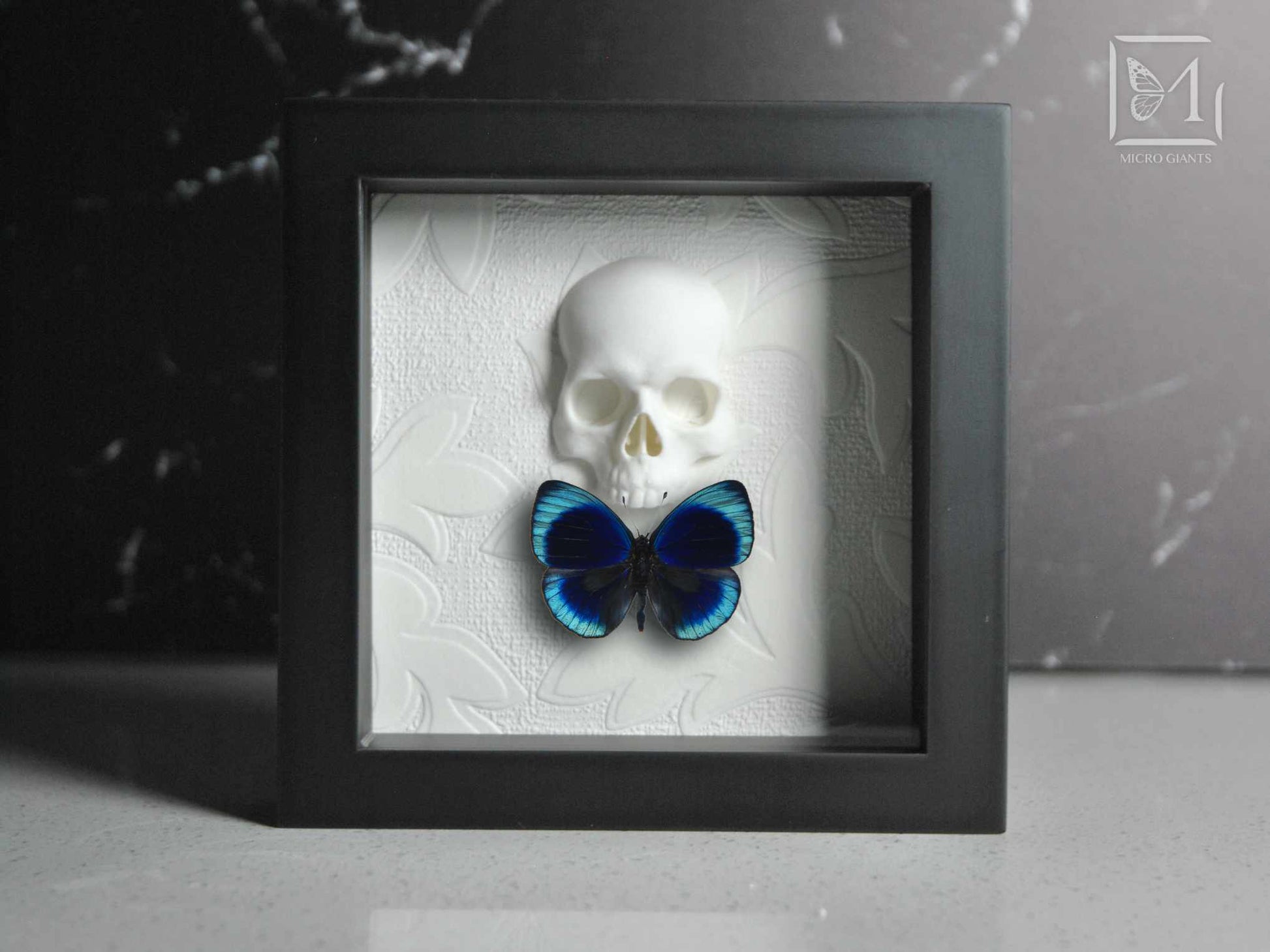 Skull with a bow tie framed butterfly art