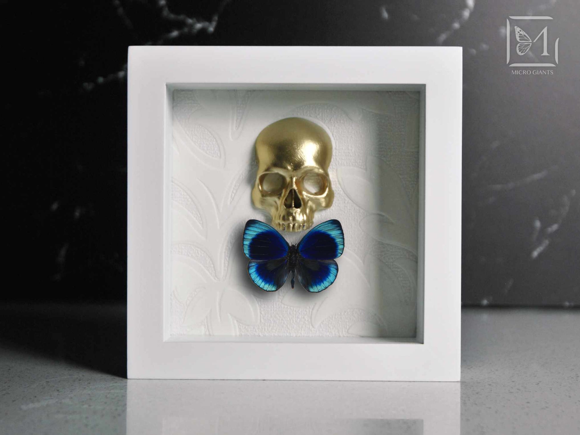 Skull with a bow tie framed butterfly art