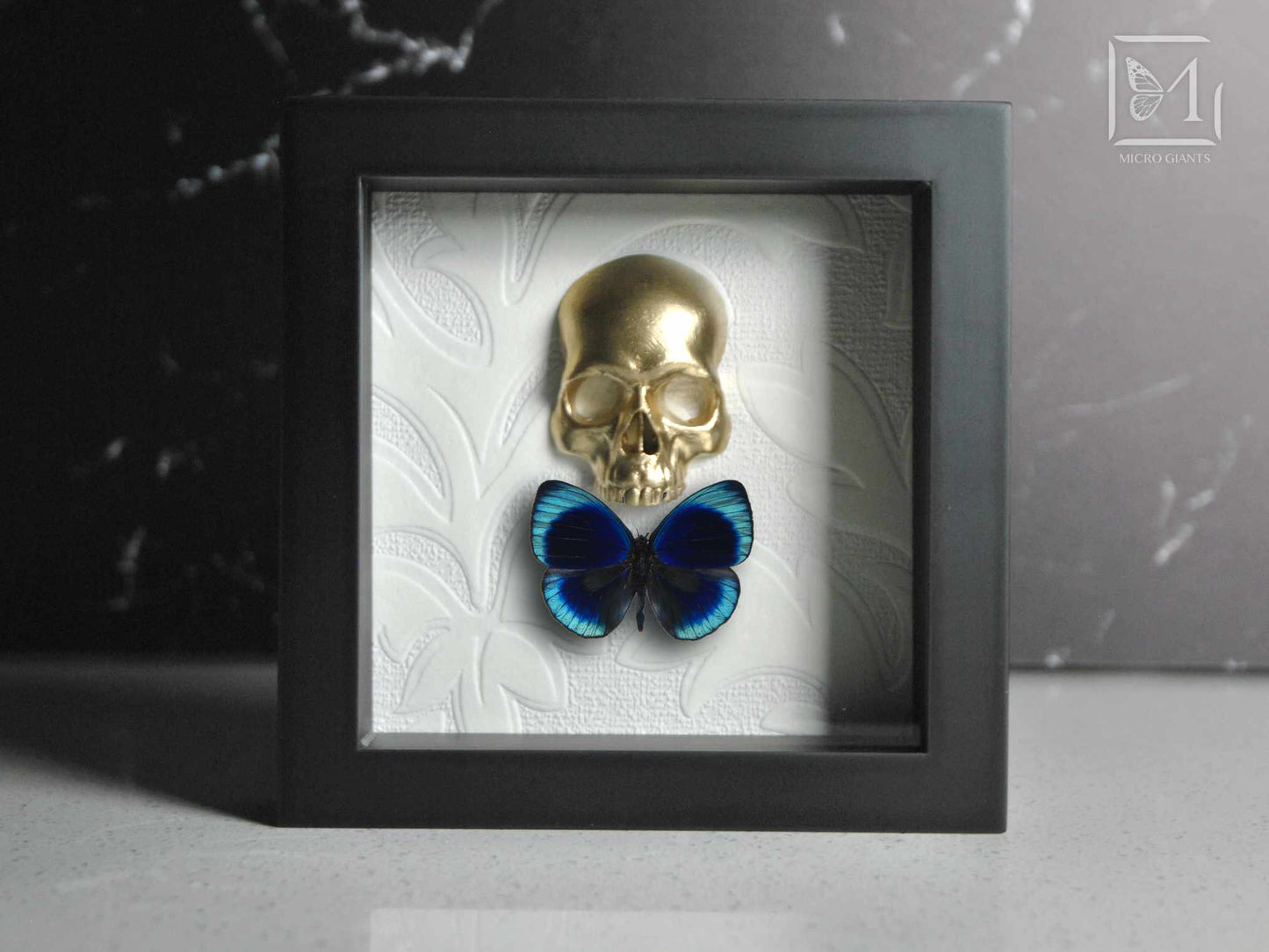 Skull with a bow tie framed butterfly art