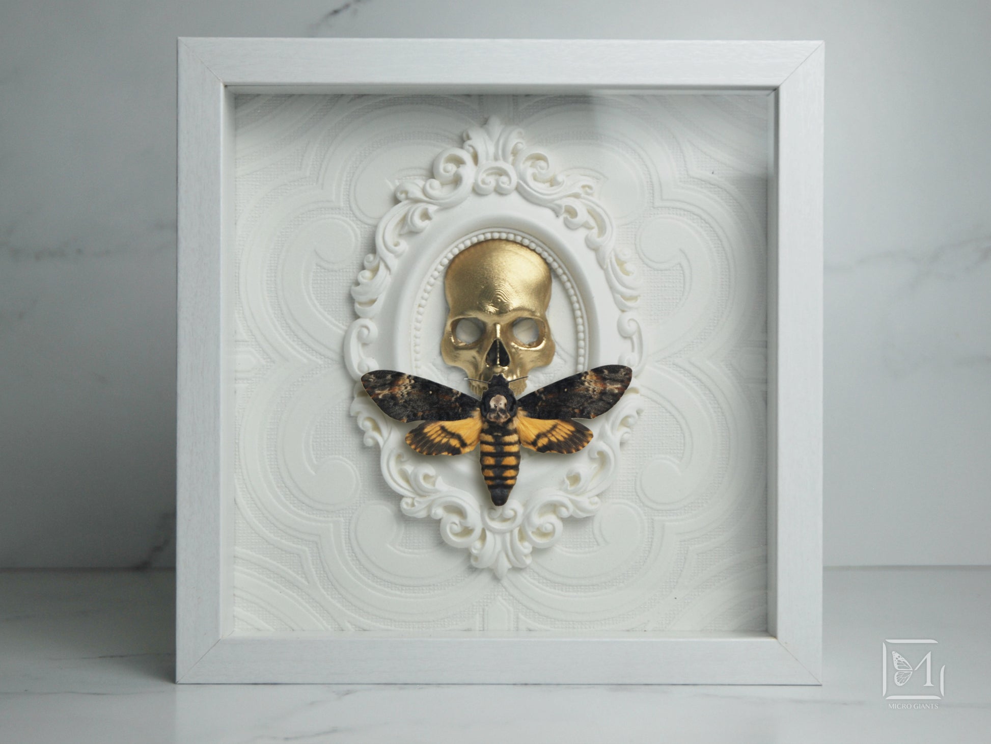 Framed Acherontia atropos