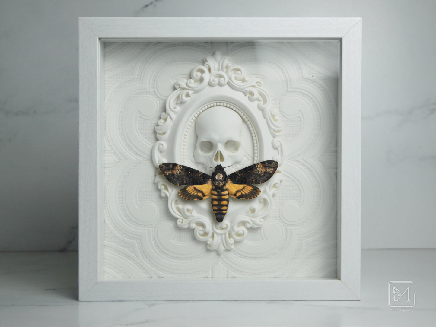 Death's head moth in frame