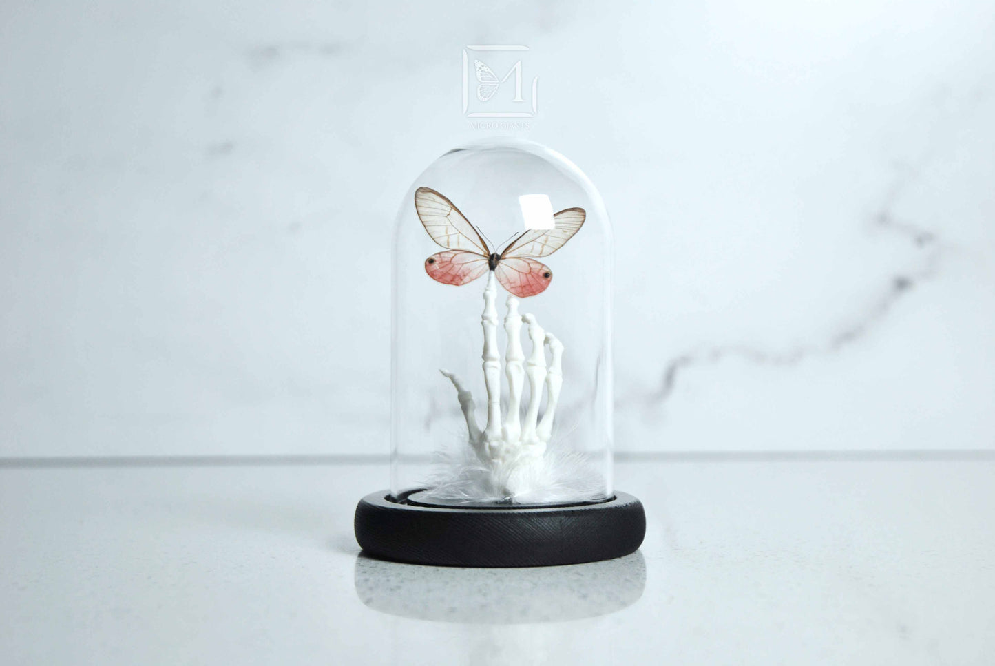 Pink glass wing butterfly in Glass dome