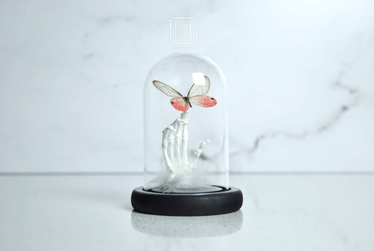 Pink glass wing butterfly in Glass dome