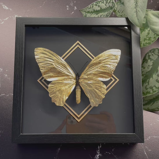 Gold leafed butterfly art