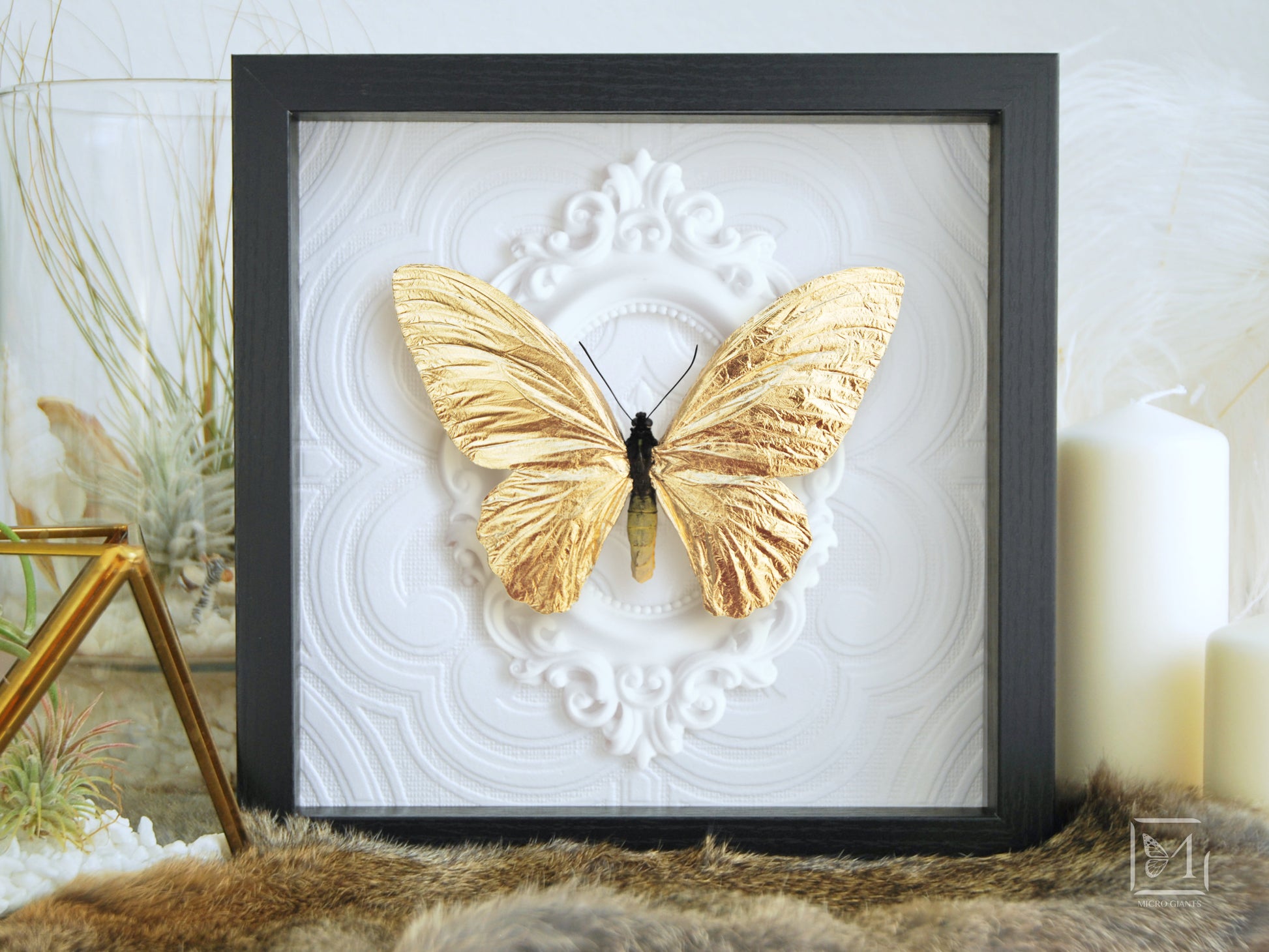 Gold leafed butterfly art