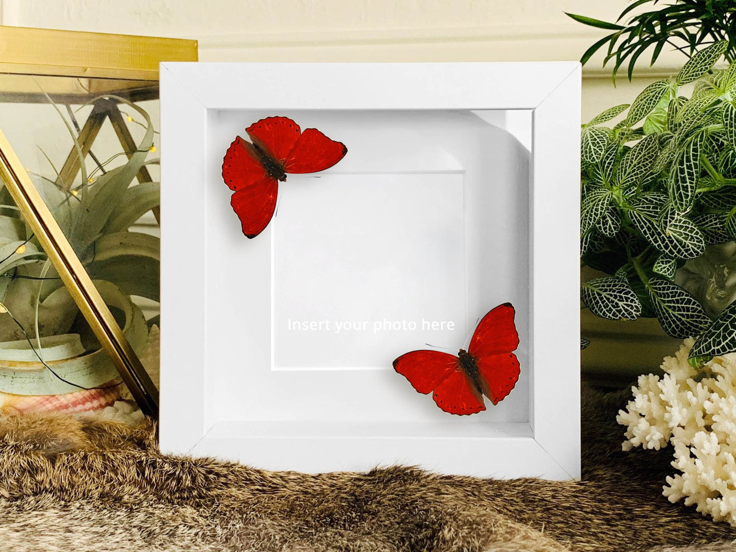 You give me butterflies frame - Photo frame with real butterfly