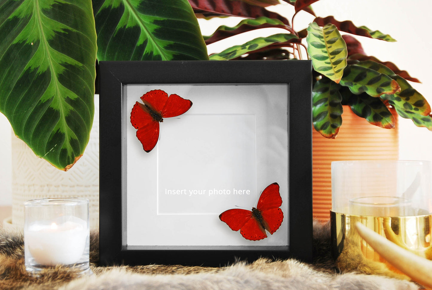 You give me butterflies frame - Photo frame with real butterfly