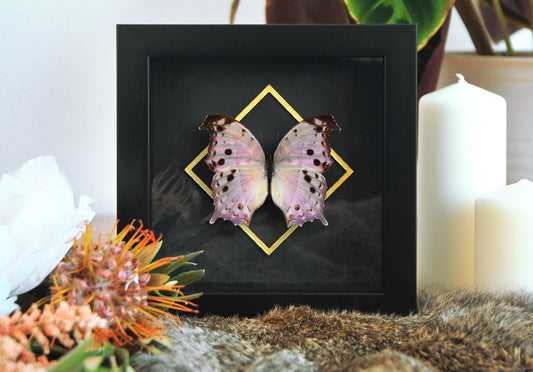 Mother of pearl framed pink butterfly
