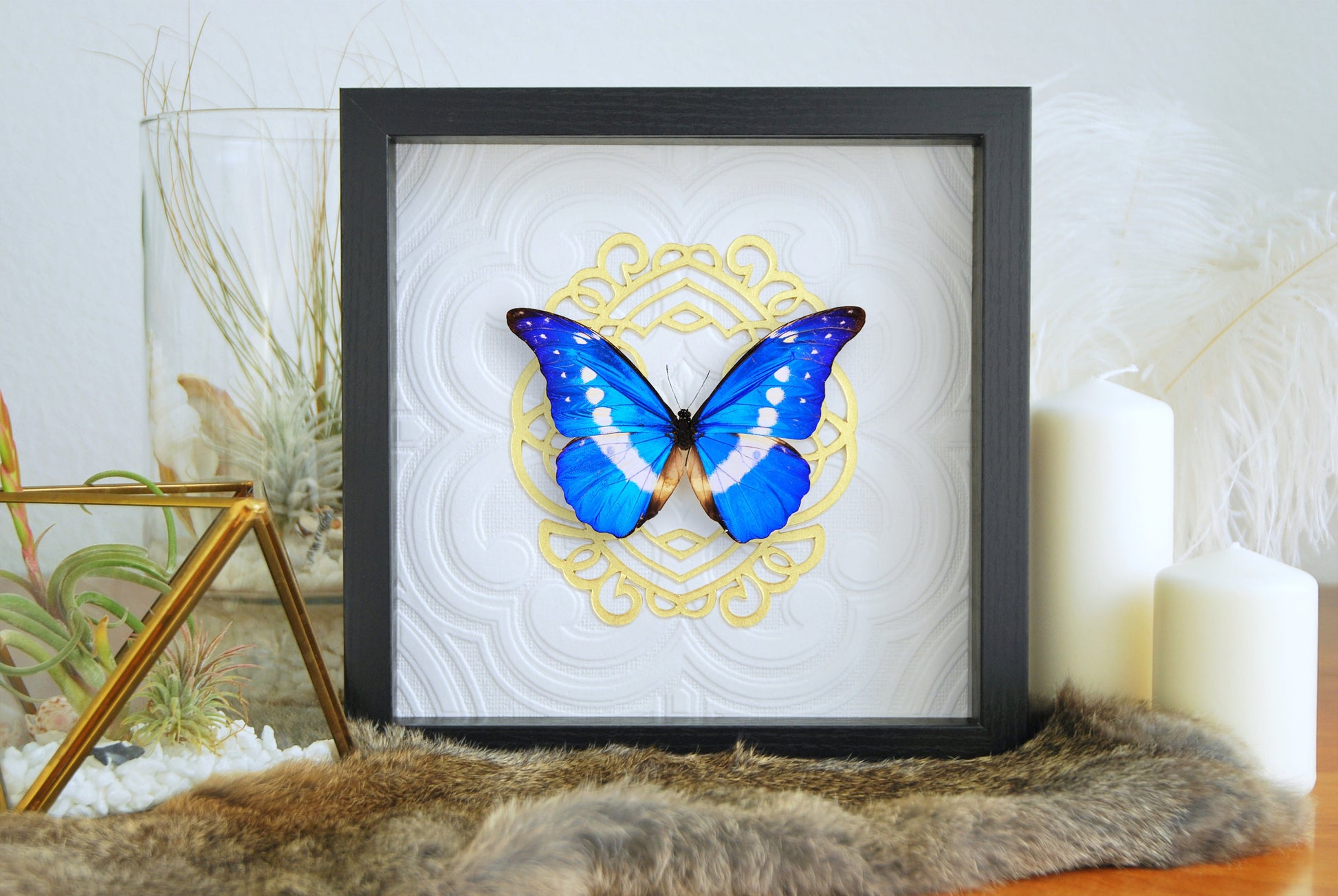 blue morpho butterfly wall decor