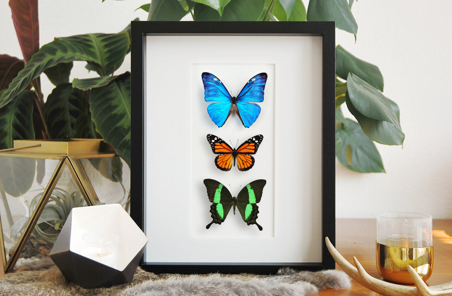 Butterfly art wall mount