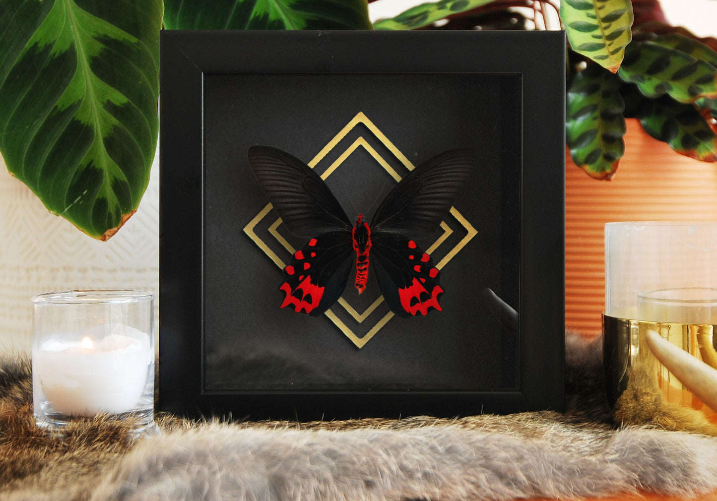 Framed vampire / black ballerina butterfly