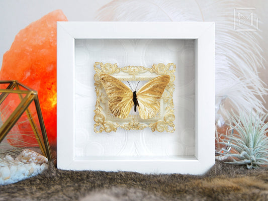 gold leaf butterfly framed art