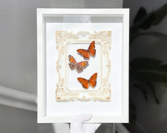 Framed butterfly wall art