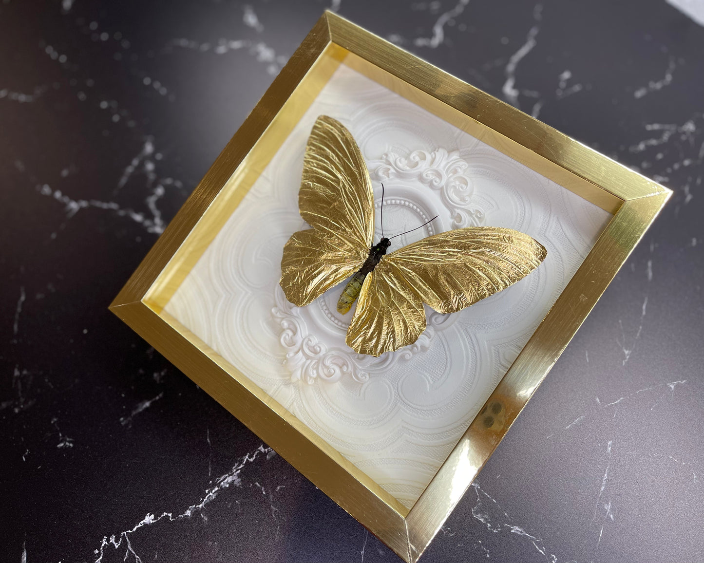 Gold leafed bird wing butterfly