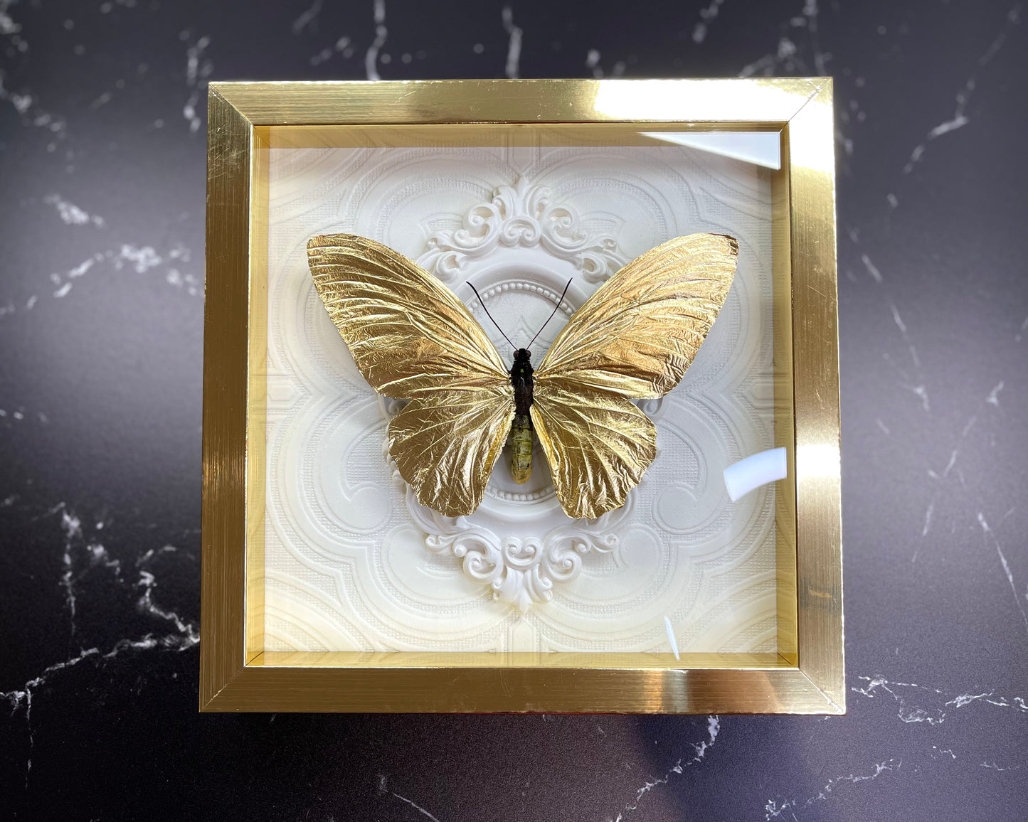 Gold leafed bird wing butterfly